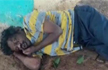 Alcoholic almost eaten alive by ants near Bengaluru